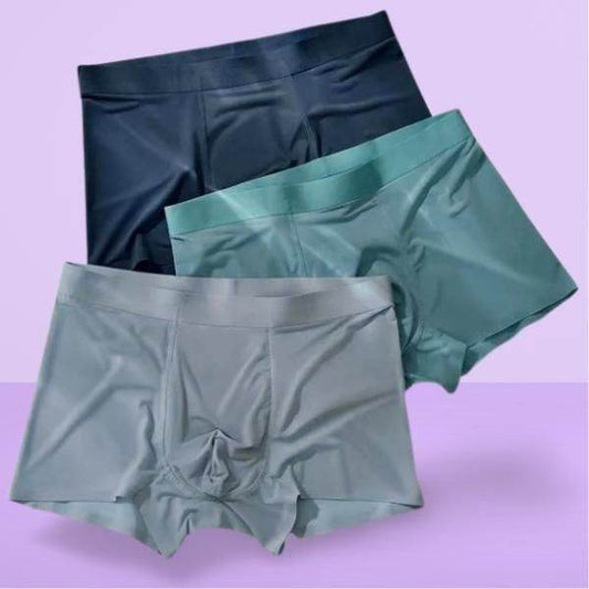 Men's Ice Silk Briefs Boxers 3Pack
